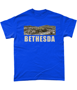 BETHESDA - Crys-T