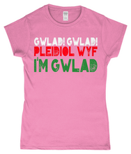 Load image into Gallery viewer, Gwlad! Gwlad! 2024 - Crys-T &quot;fitted&quot;