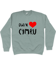 Load image into Gallery viewer, Dwi&#39;n Caru Cymru - Crys chwys