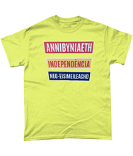 Load image into Gallery viewer, Annibyniaeth Independencia - Crys-T