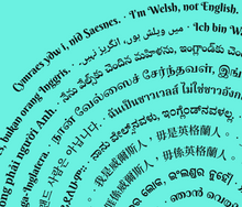 Load image into Gallery viewer, Cymraes ydw i - Hwdi