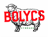Bolycs Cymraeg