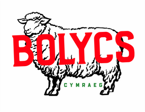 Bolycs Cymraeg