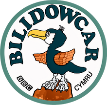 Load image into Gallery viewer, Bilidowcar - Hwdi