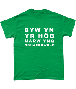 BYW YN YR HôB - Crys-T