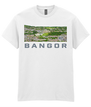 Load image into Gallery viewer, Front 